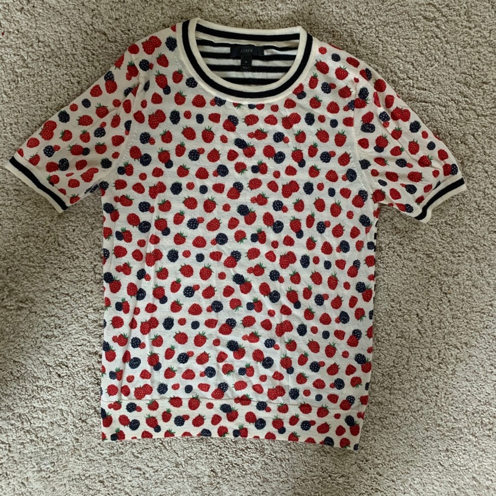 J crew berry sweater tee